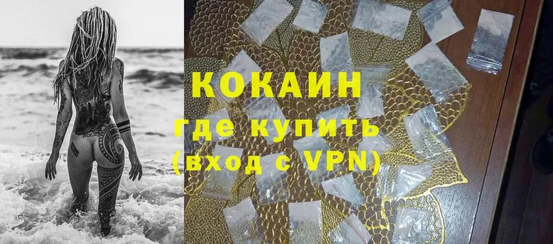 дарнет шоп  Лакинск  COCAIN Fish Scale 